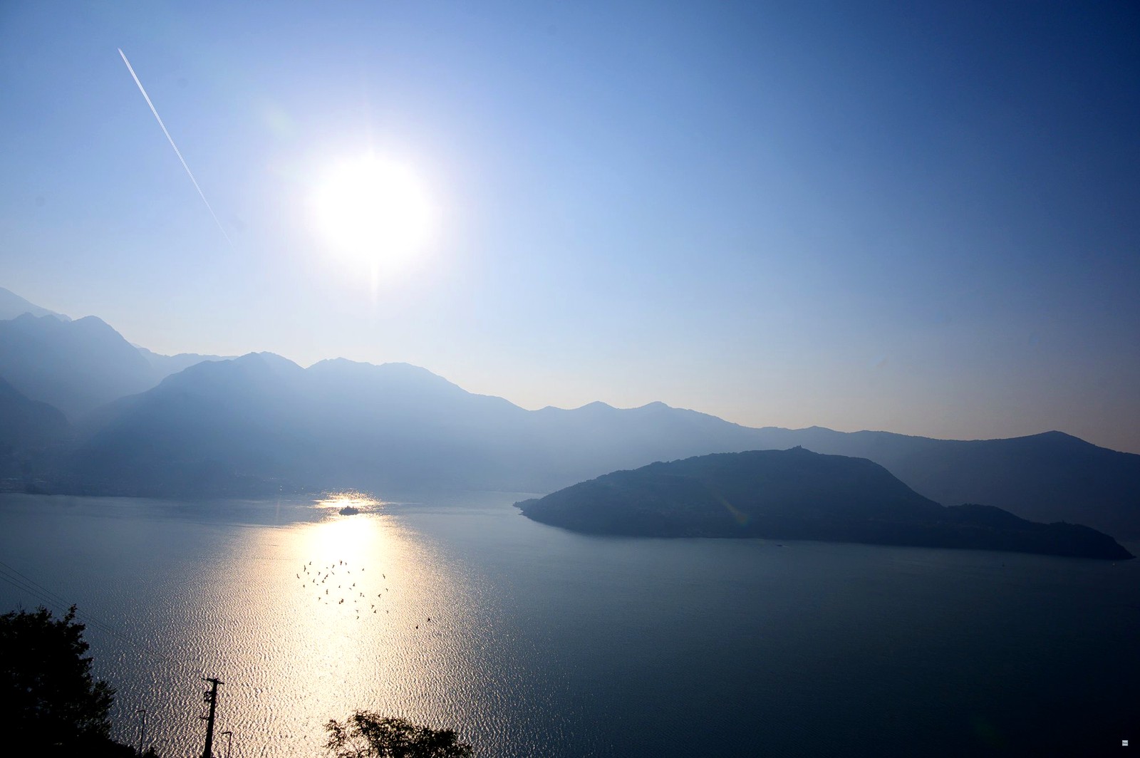 Alba sul lago con stormo di uccelli