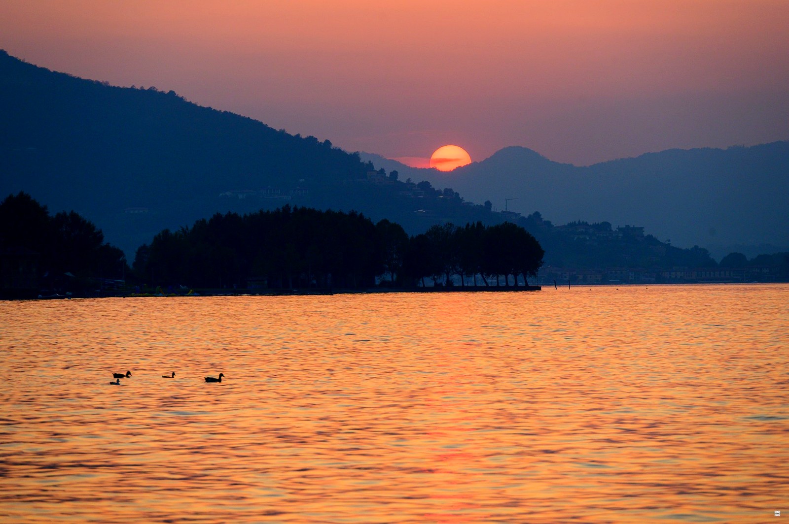 Anatre in silhouette nel tramonto rosso sul Lago d'Iseo